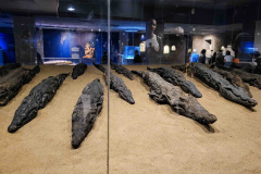 Aegypten-Nilkreuzfahrt-104