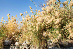 Aegypten-Nilkreuzfahrt-140