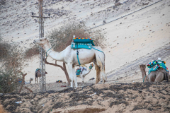 Aegypten-Nilkreuzfahrt-148