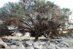 Aegypten-Nilkreuzfahrt-157