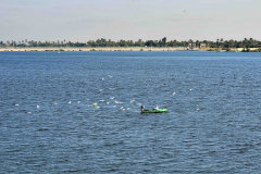 Aegypten-Nilkreuzfahrt-201