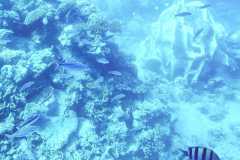 Aegypten-Nilkreuzfahrt-253