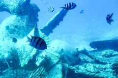 Aegypten-Nilkreuzfahrt-254