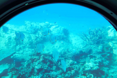 Aegypten-Nilkreuzfahrt-255