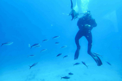 Aegypten-Nilkreuzfahrt-256