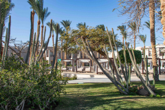 Aegypten-Nilkreuzfahrt-265