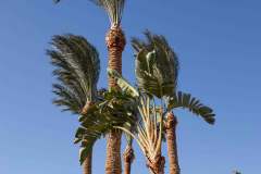 Aegypten-Nilkreuzfahrt-270