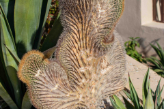 Aegypten-Nilkreuzfahrt-273