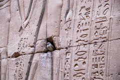 Aegypten-Nilkreuzfahrt-72