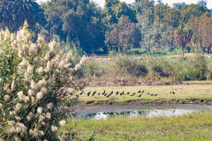 Aegypten-Nilkreuzfahrt-80