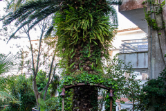 Tossa de Mar Urlaub 2022