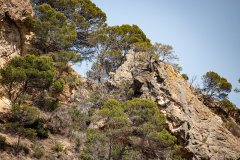 Tossa de Mar Urlaub 2022