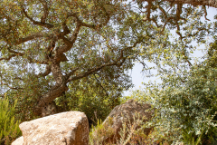 Tossa de Mar Urlaub 2022