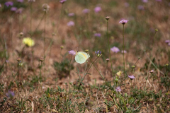 Tossa de Mar Urlaub 2022