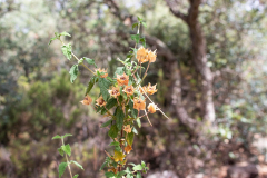Tossa de Mar Urlaub 2022