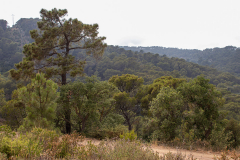 Tossa de Mar Urlaub 2022